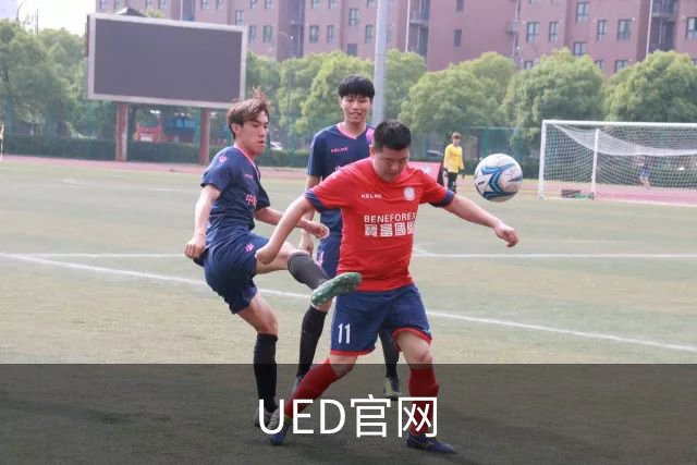 UED官网公司简介图片
